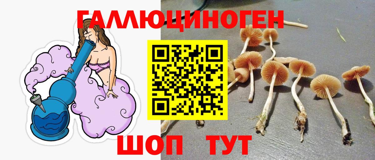 Галлюциногенные грибы GOLDEN TEACHER Кумертау