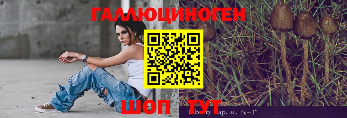 Псилоцибиновые грибы мицелий  Вход с VPN  Кумертау 