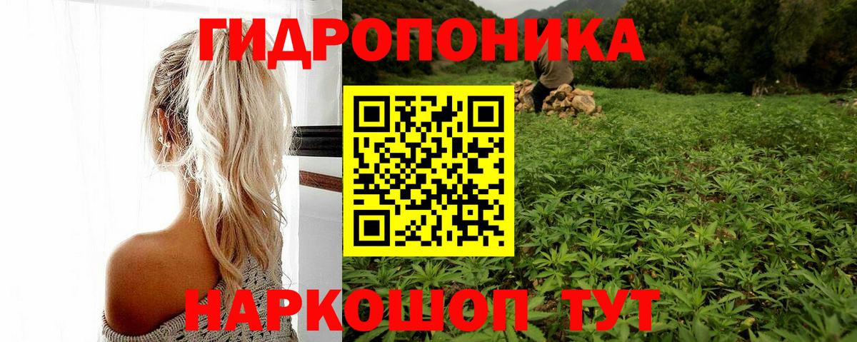 Шишки марихуана сатива  Бошки марихуана сатива  Вход с VPN  Шишки марихуана SATIVA & INDICA  Кумертау  Конопля AK-47 
